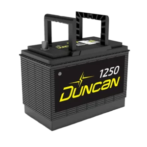 Bateria DUNCAN 31H-1250