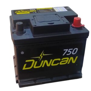 Bateria DUNCAN 36R-750
