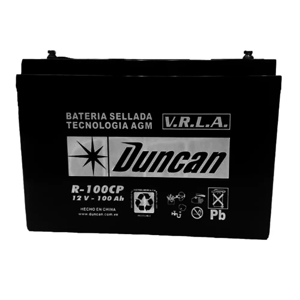 Batería Estacionaria DUNCAN R 100